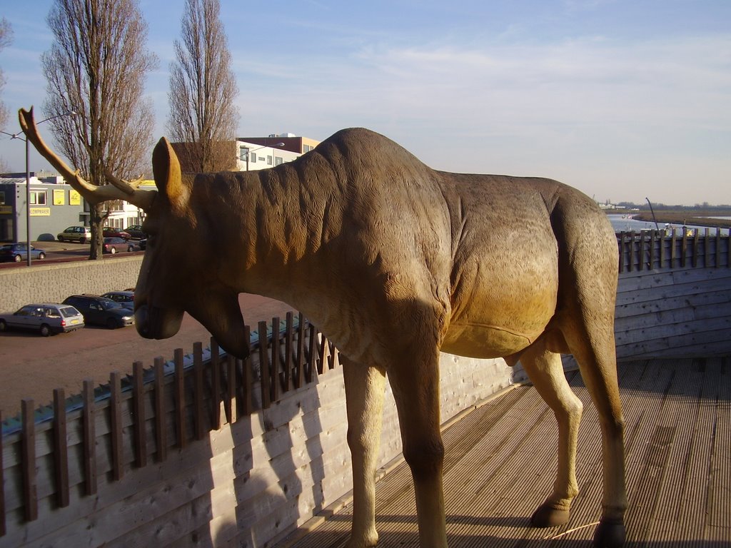 De ark van noach arnhem by asbak