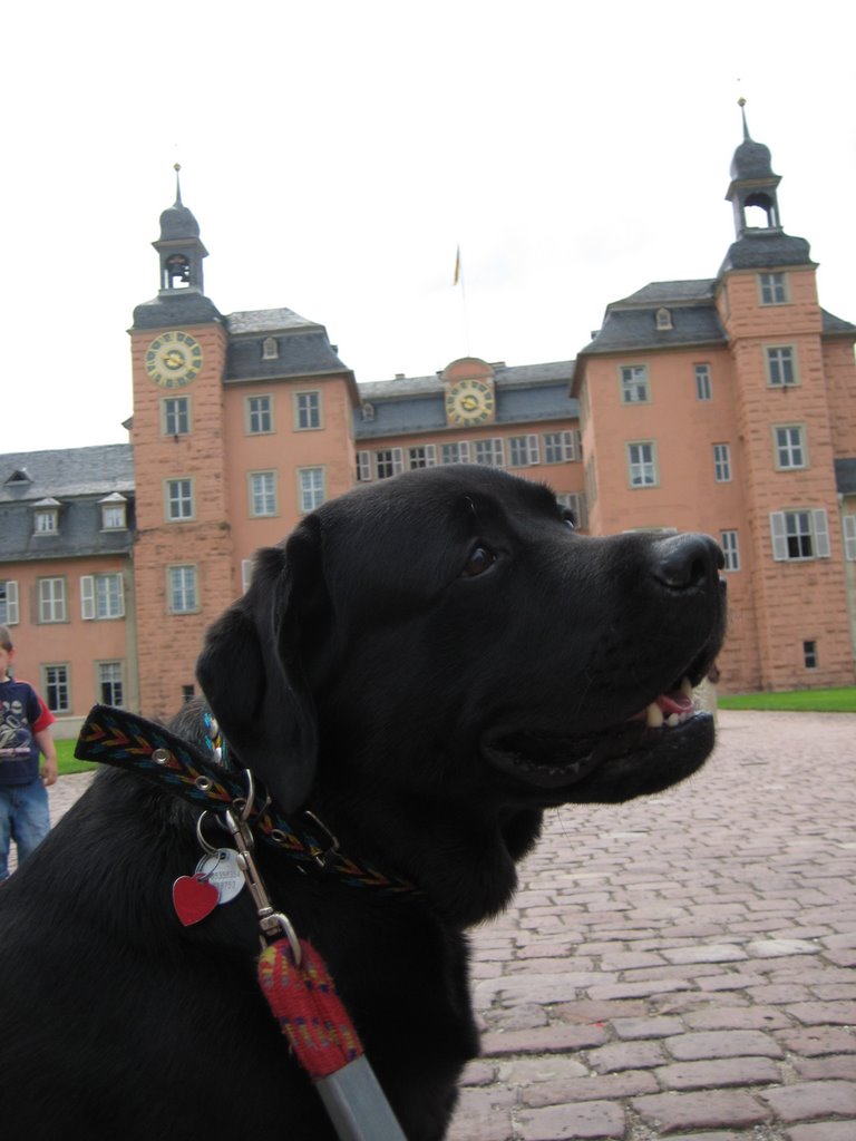 Bambu entrando al Schlosspark de Schwetzinger by Bambuaroundtheworld