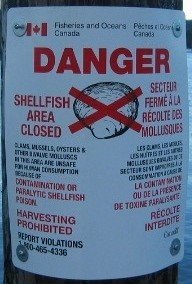 Contaminated shellfish by kona1984