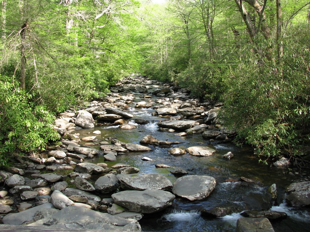 River on Alum Cave Bluffs Trail (May 2008) by Sean Walsh-Haehle