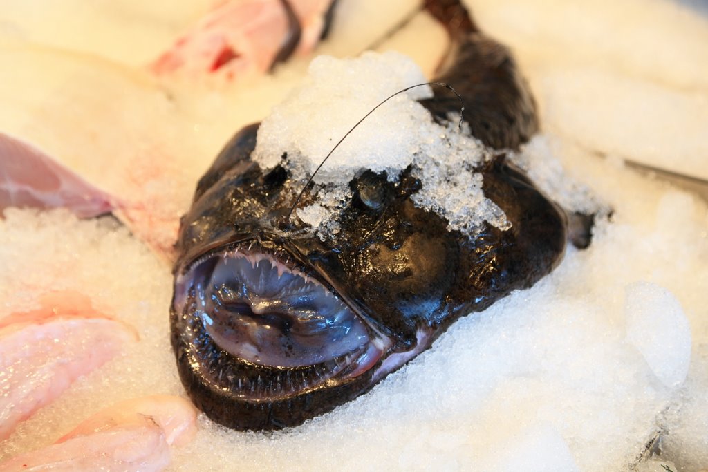 Fish market, Bergen by Andy Tam