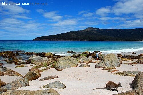 Wineglass Bay by John Shen