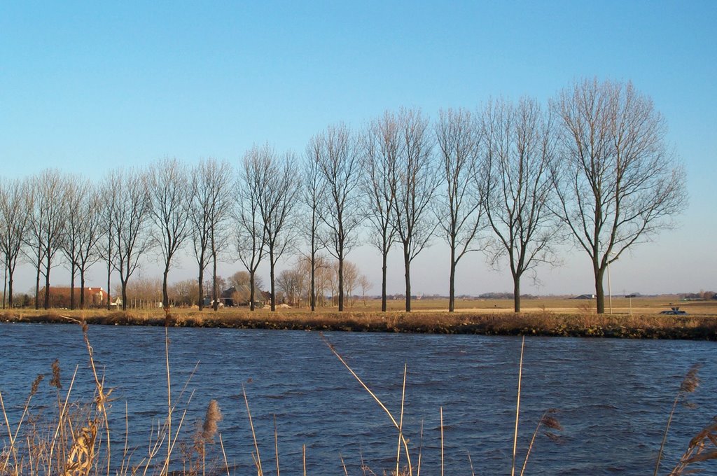 Eemskanaal met bomen / Eemskanaal with trees by josieborger