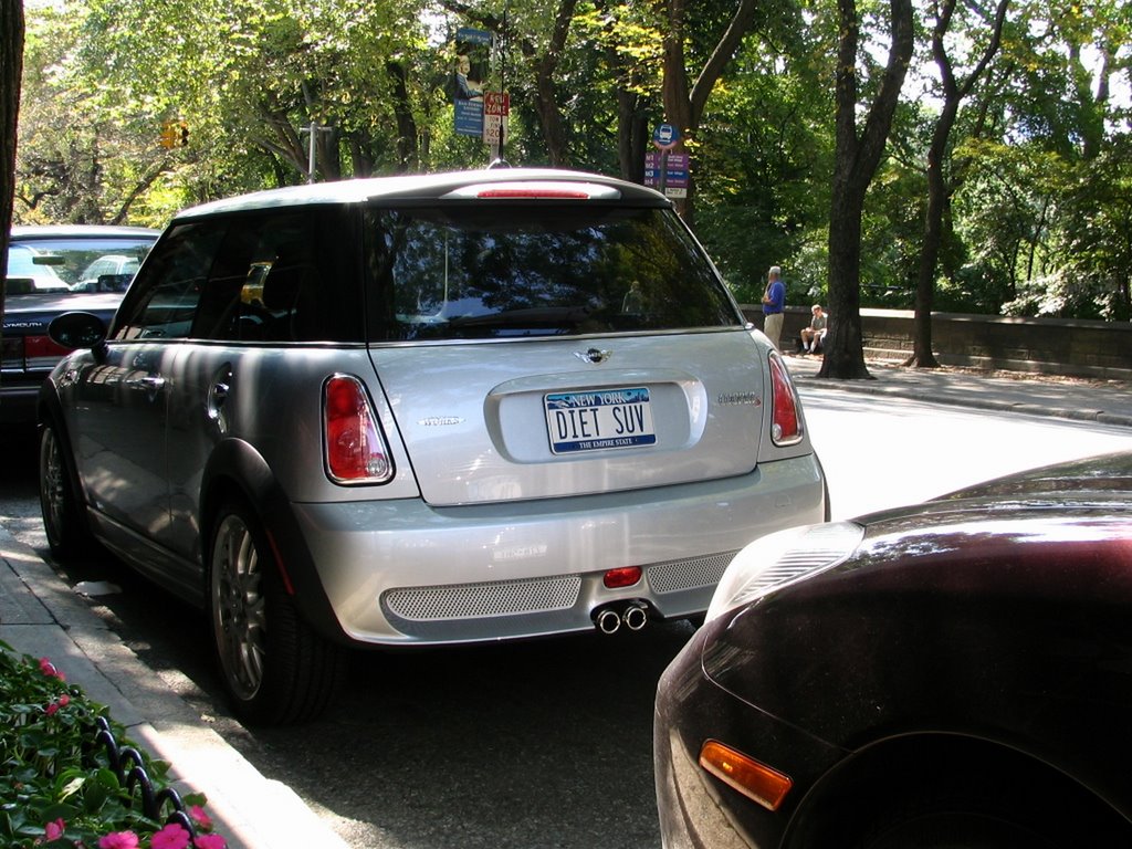 Diet SUV. "Samochód Użytkowo rozryVkowy" na diecie. by Rafał Klisowski