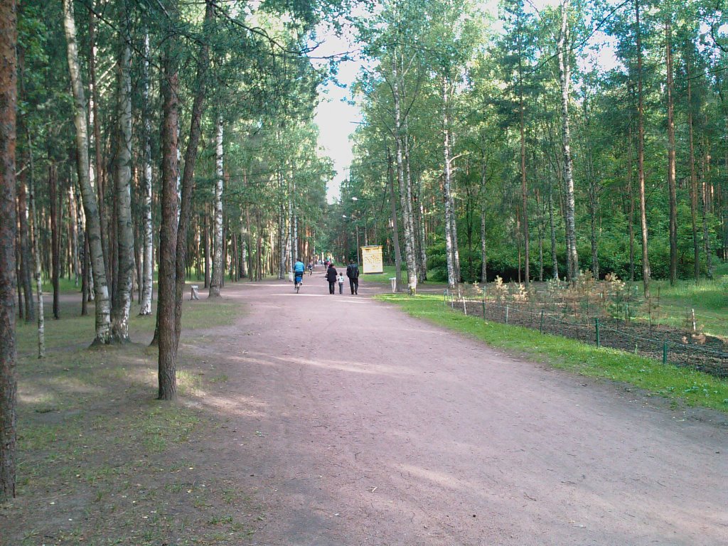 Vyborgsky District, St Petersburg, Russia by antonko