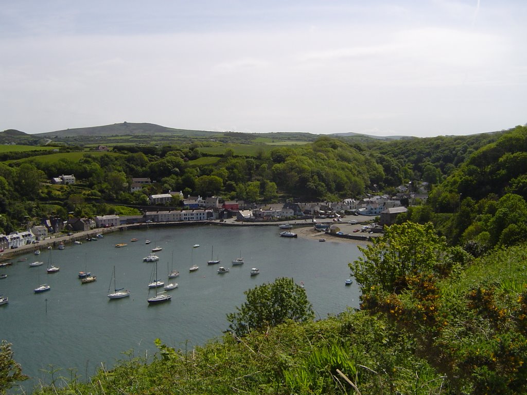 Fishguard Harbour by Tim Meikle