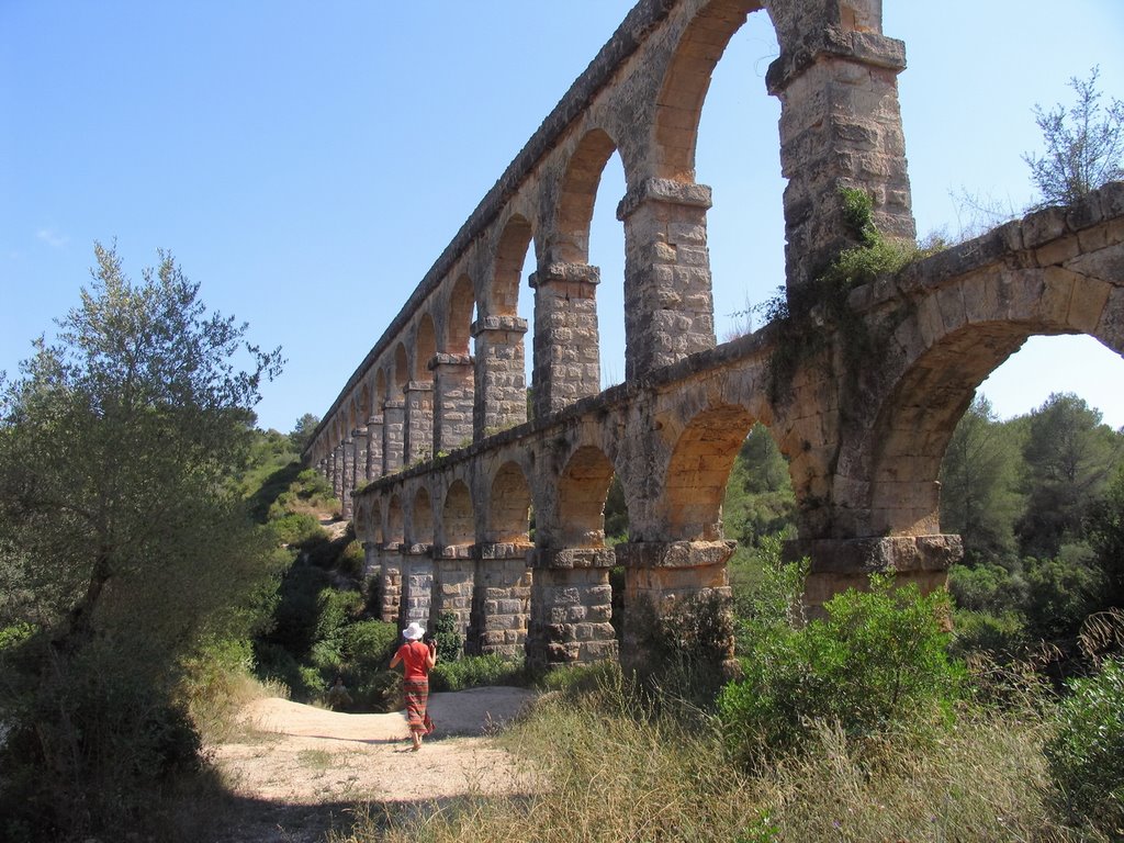 Ponte del diablo / Aqüeducte de les Ferreres / Pont del diable / Devil's Bridge, Tarragona, Spain / Романский акведук, известный как Мост дьявола, Таррагона, Испания by Igor Oliferovskiy