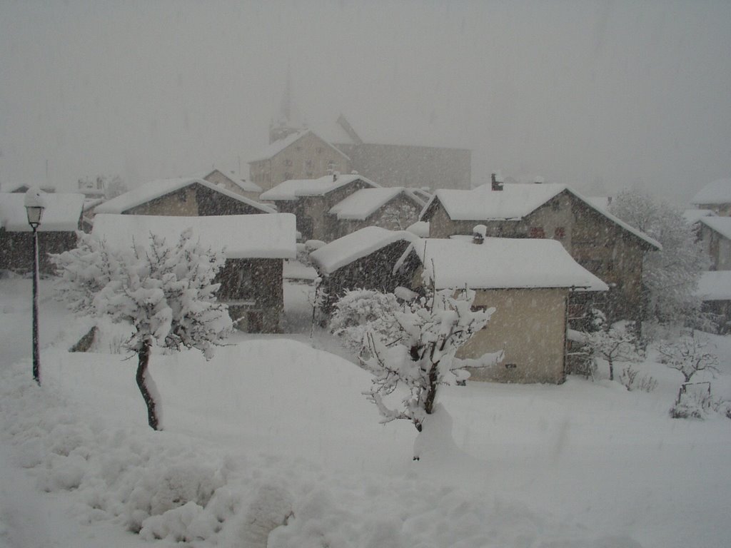 Lens en neige by zezel