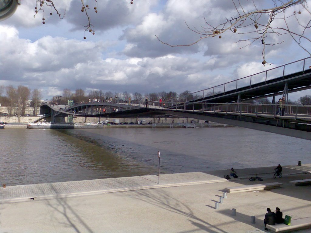 Pont Bibliothèque François Mitterand by srounsroun