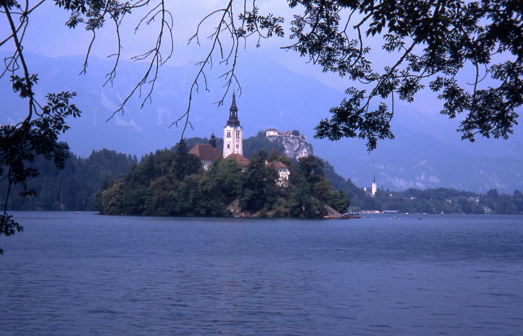 Bled by Alfonso Pitarque