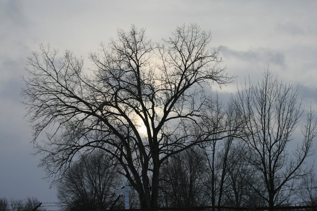 Winter Sky over Normandy Oaks Golf Course by claydogg