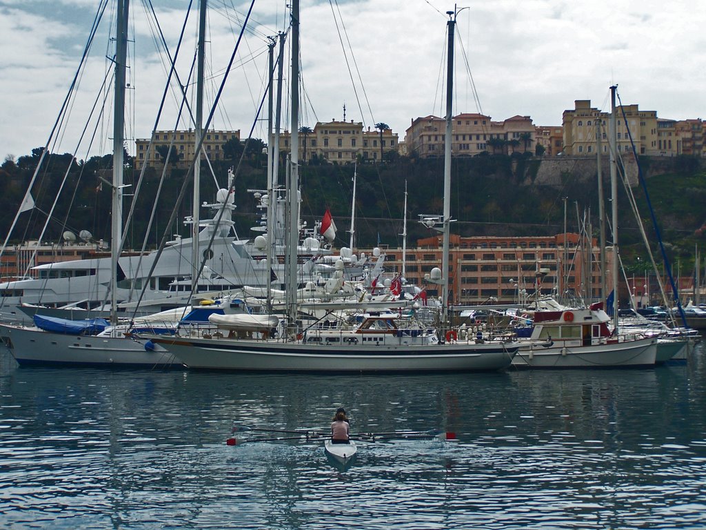 Monaco harbour by Juliet Cullen