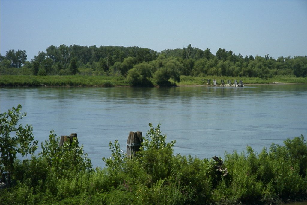 Old Dock Pilings on "Louis & Clarcks" Missouri River by alanjames