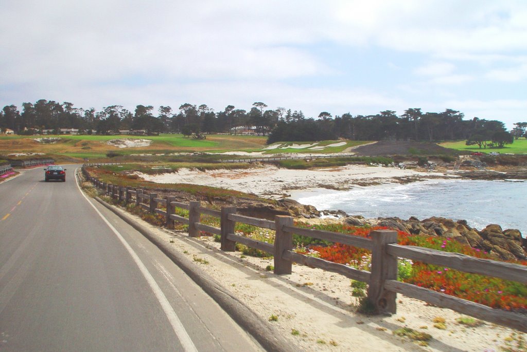 Looking sw toward Fanshell Beach, 17-Mile Drive (6-2008) by Ken Badgley