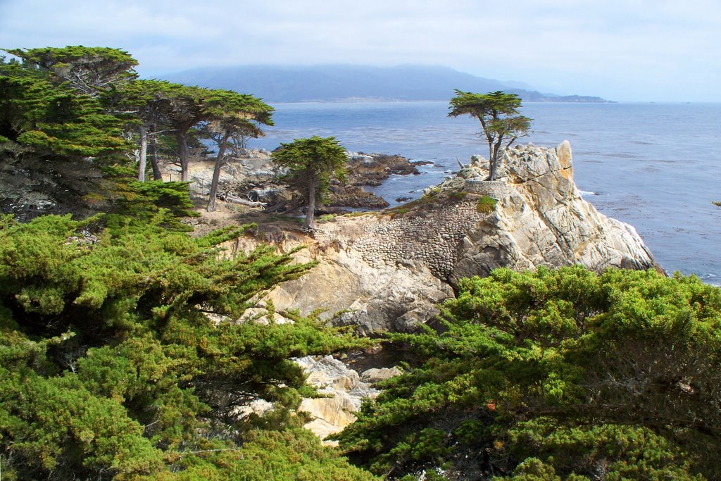 THIS PHOTO IS BETTER, the lone cypress, 17-Mile Drive (6-2008) 4 by Ken Badgley