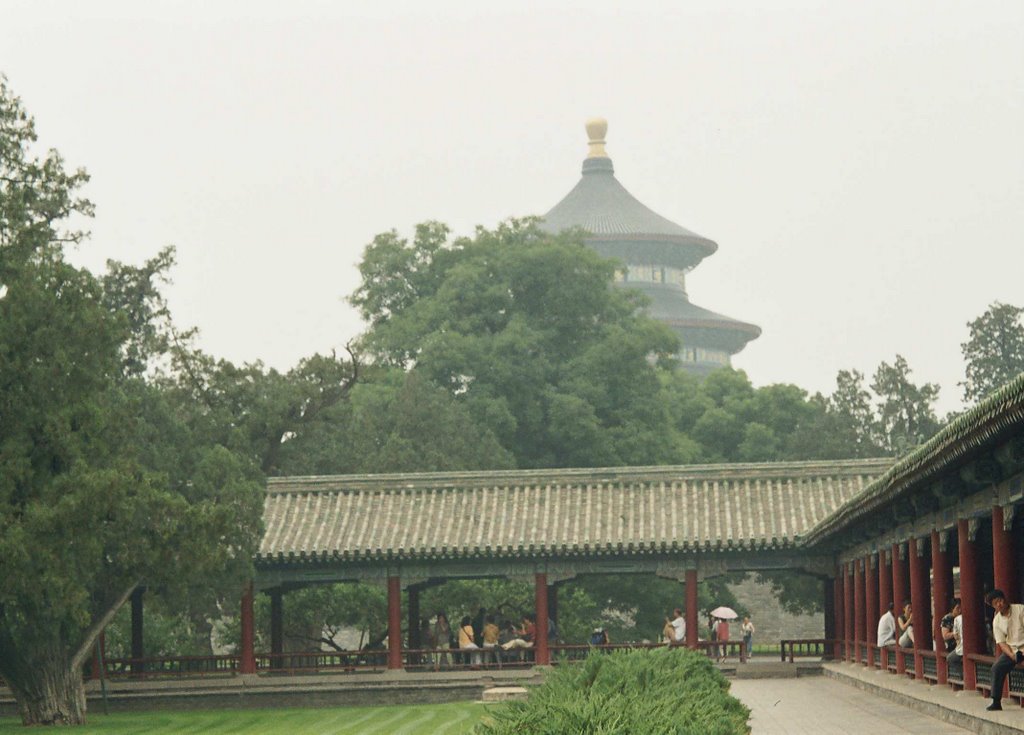 Jardines del Templo del Cielo(BEijing) by palmidiaz