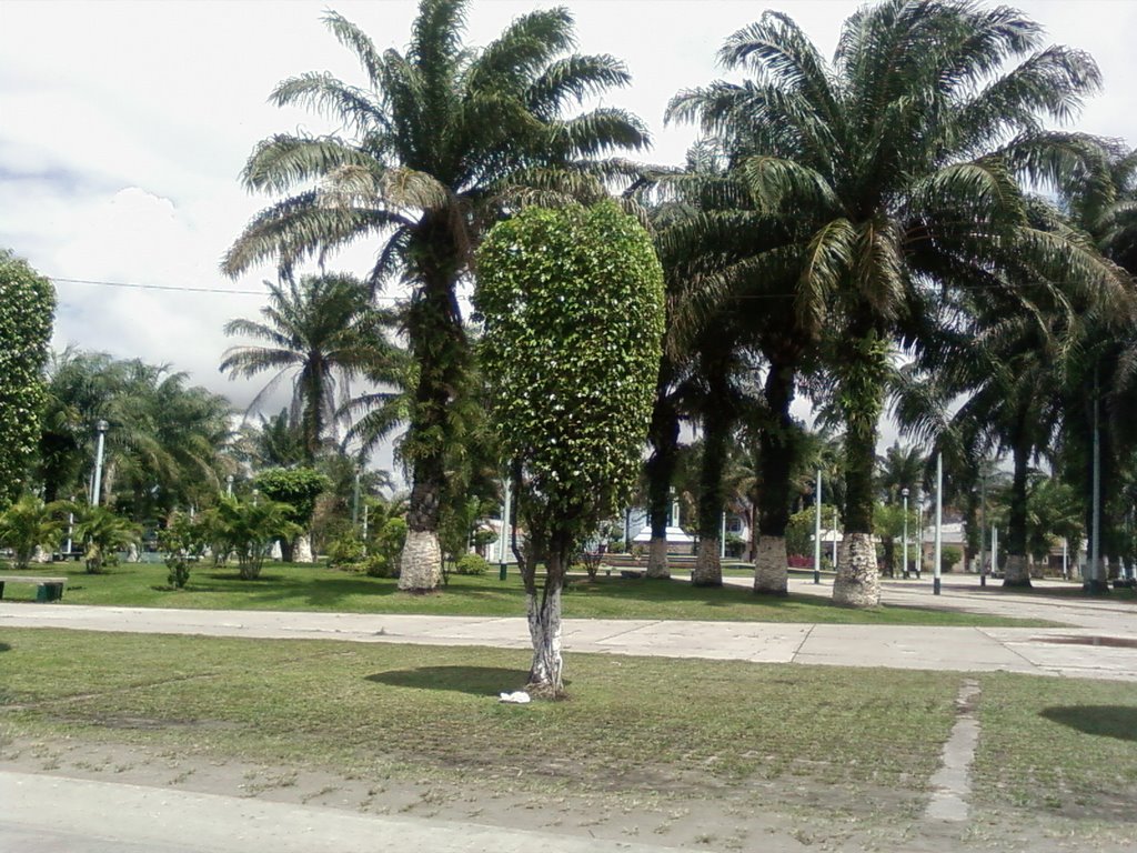 Plaza Srgto. Lores - IQUITOS by Francisco_G