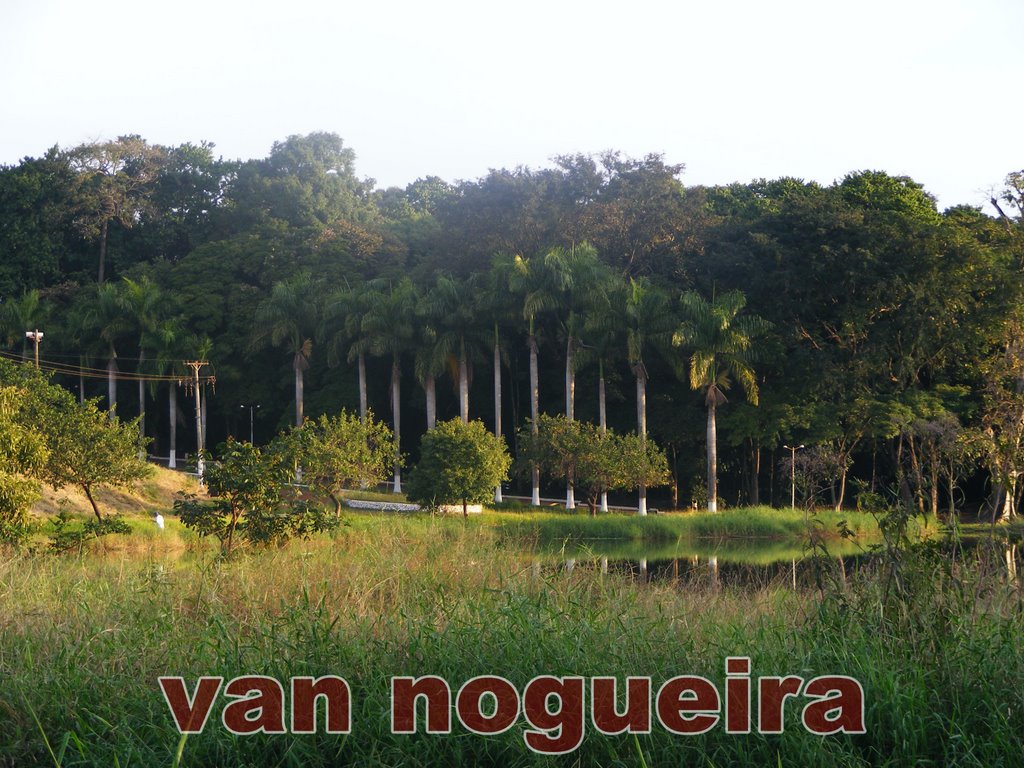 BOSQUE MUNICIPAL DE CHAVANTES by VAN NOGUEIRA