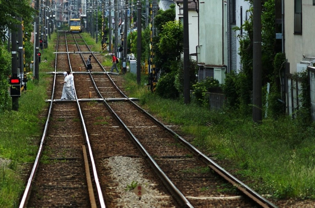 Setagaya line by tomi8