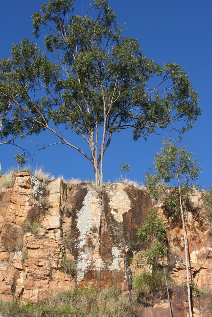 Cliff face Brisbane river by Paul Strasser