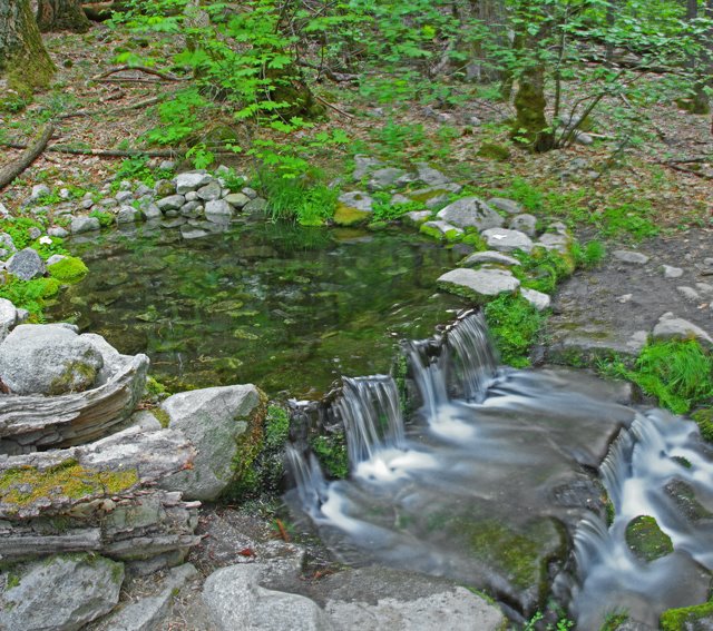 Fern Springs by Michael Hatten