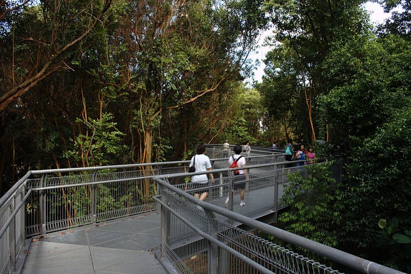 Along Forest Walk by Frank Starmer