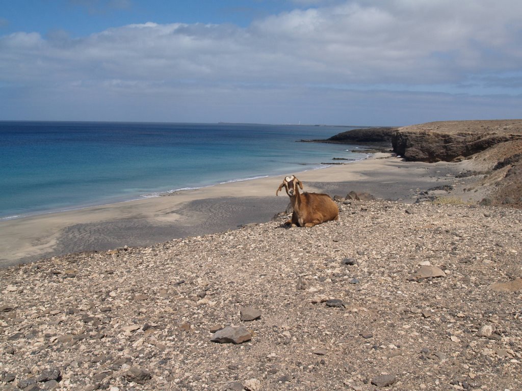 Playa de Juan Gómez, Jandia, Fuerteventura(Islas Canarias) by Corticata