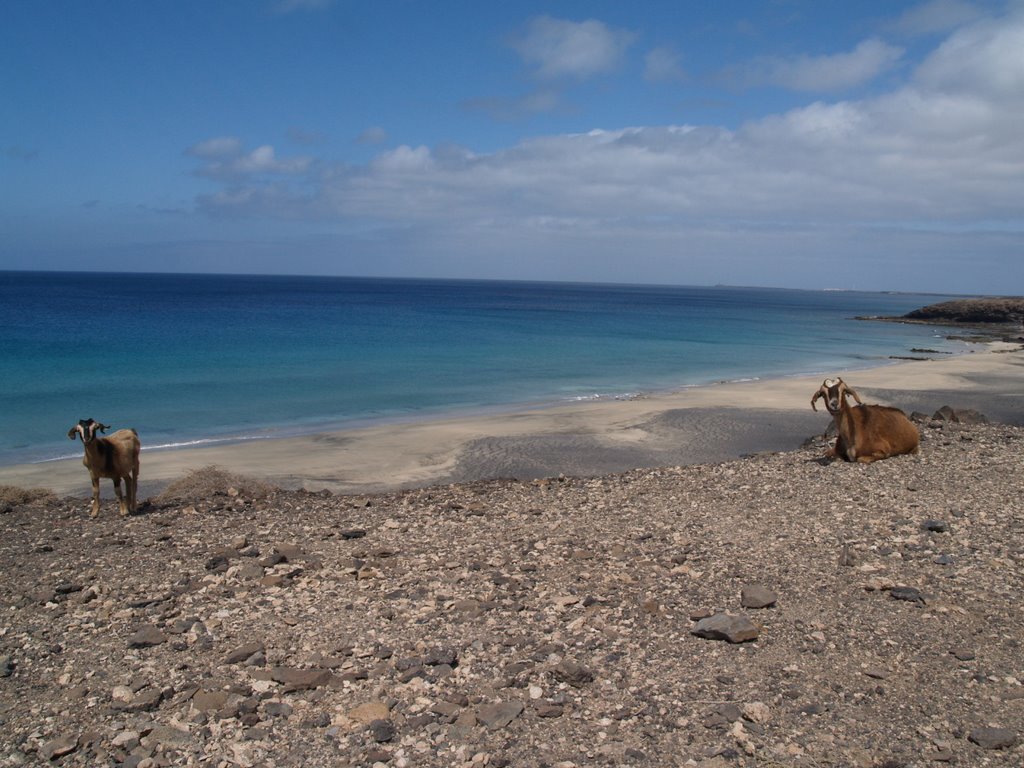 Playa de Juan Gómez, Jandia, Fuerteventura(Islas Canarias) by Corticata