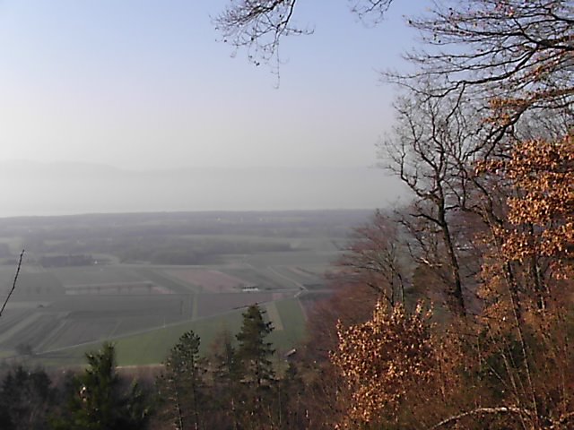 Vue sur le bassin lémanique by Fred Mabire