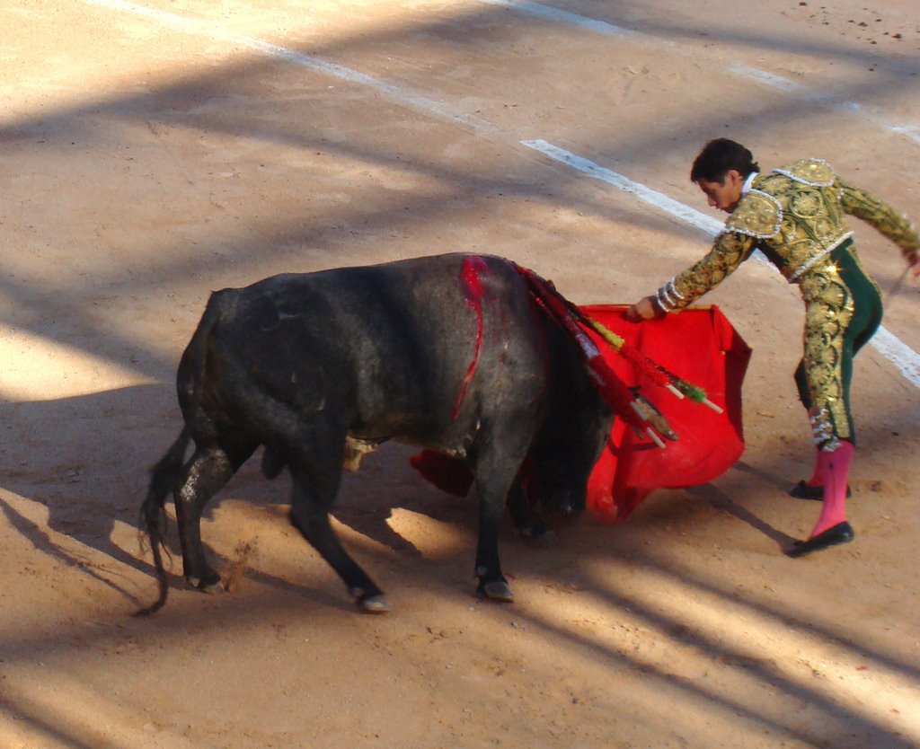 Feria 2008 - Dimanche soir by Guillaume Atger