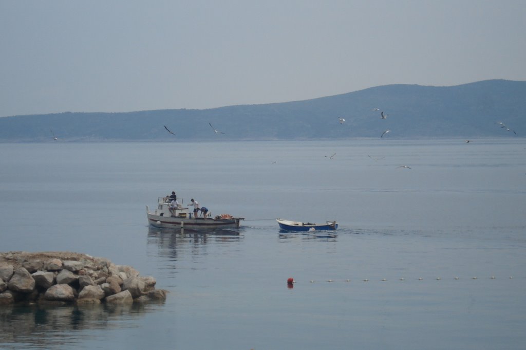 One morning in dalmatia by carl jakir