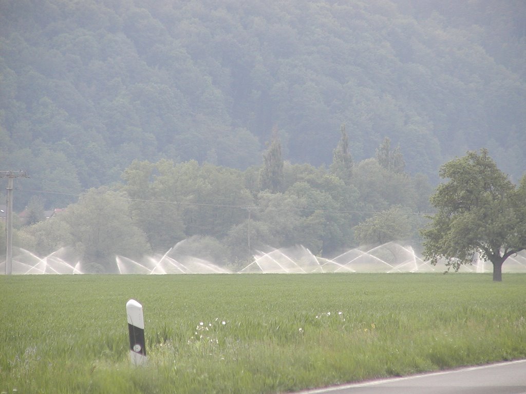 Im Maintal zwischen Großheubach und Röllfeld, Höhe Laudenbach - Bewässerung eines Erdbeerfeldes by kdh865