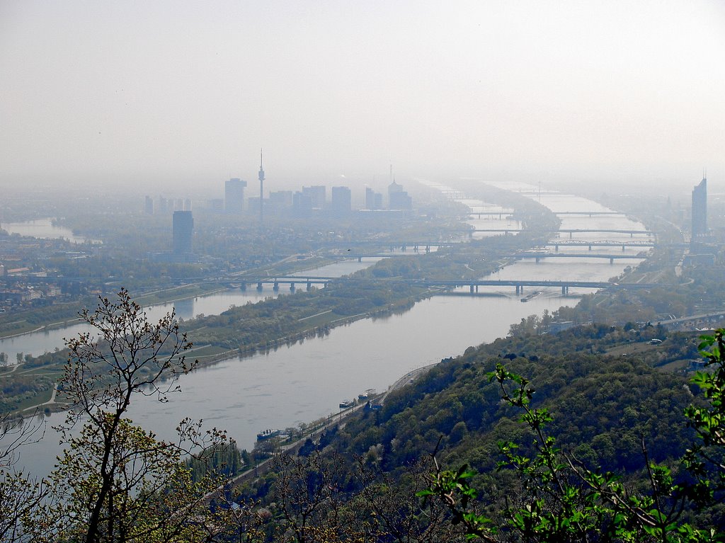 Blick auf die Donau vom Nasenweg aus by Alexander Nikolaus N…