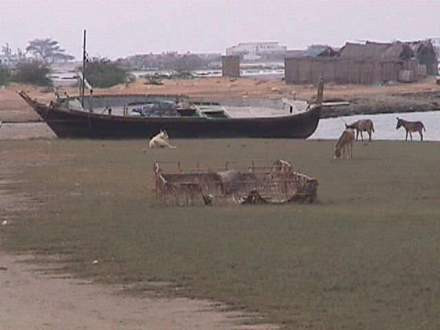 Thatta, Pakistan by Syed Irfan Ali Shah