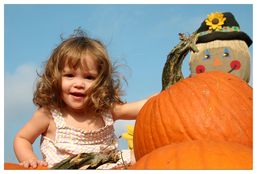 Pumpkin Patch Linvilla Orchards by mgreen