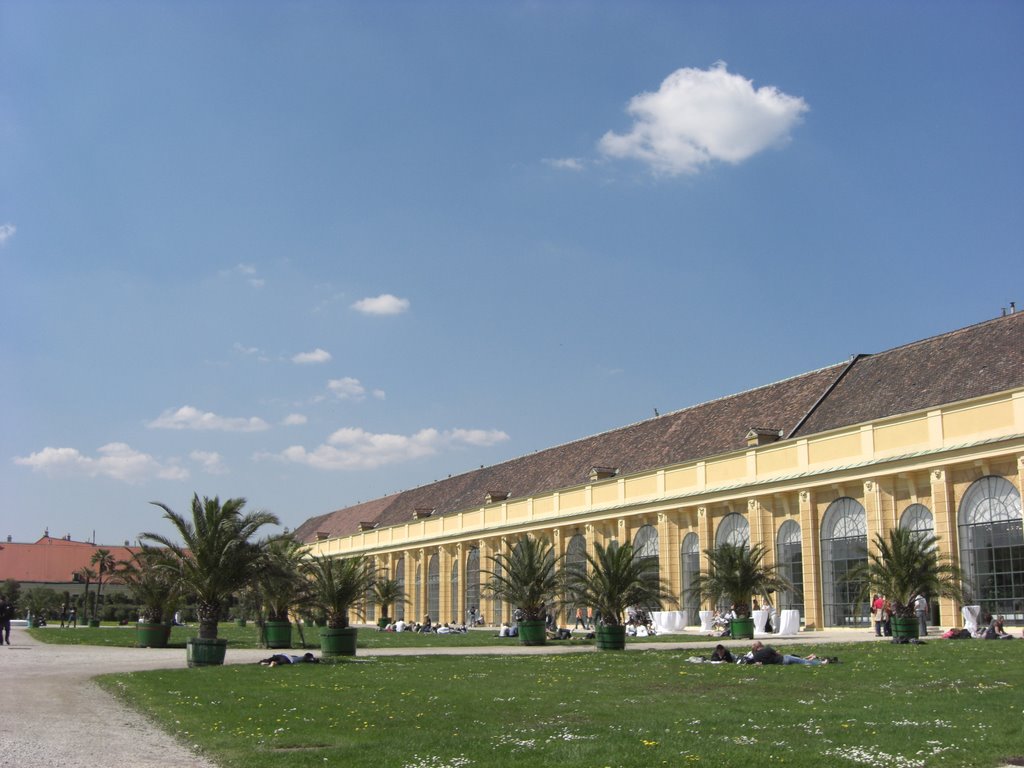 Blick auf die Orangerie von Schloss Schönbrunn by Tobias1977