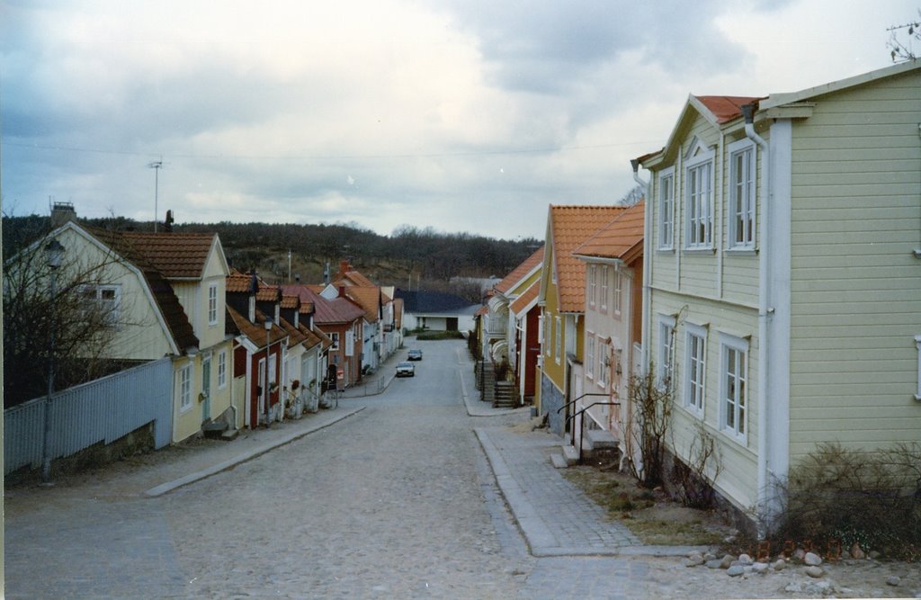 RONNEBY-SWEDEN- MUNIR by munir saleh qaddura