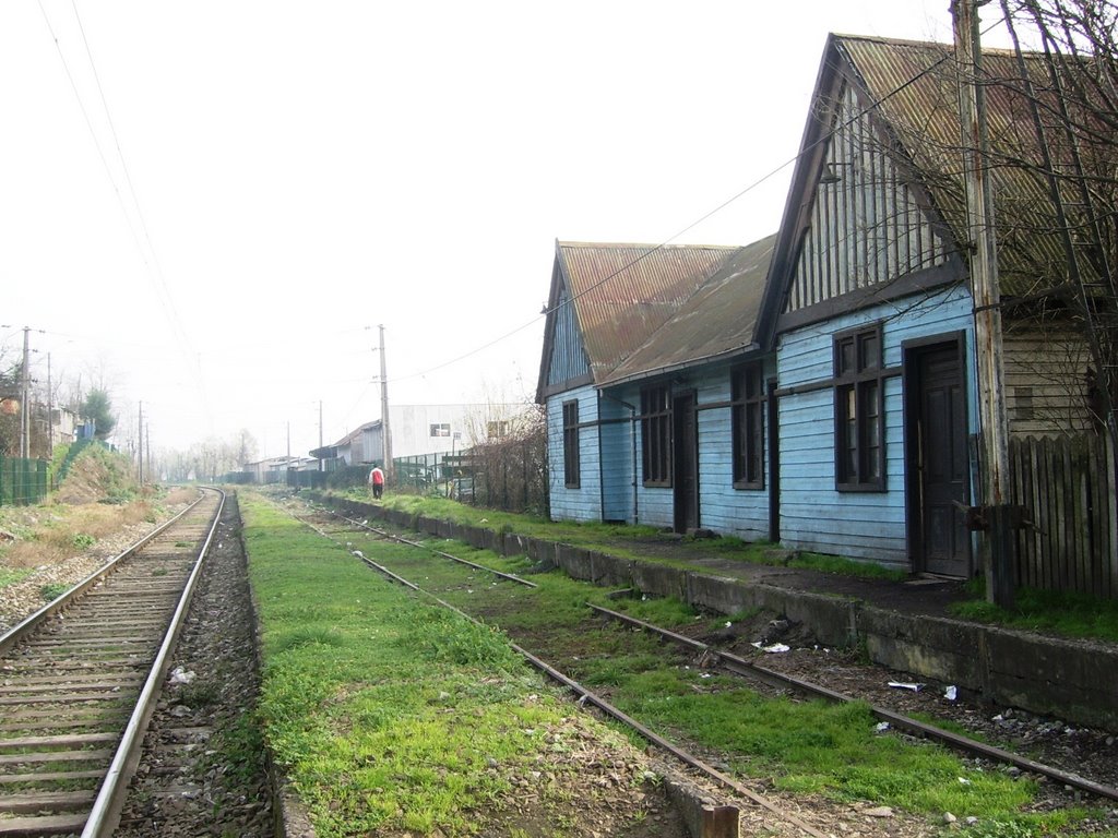 Ex estación de ferrocarriles de Padre Las Casas by Omar O. Acuña