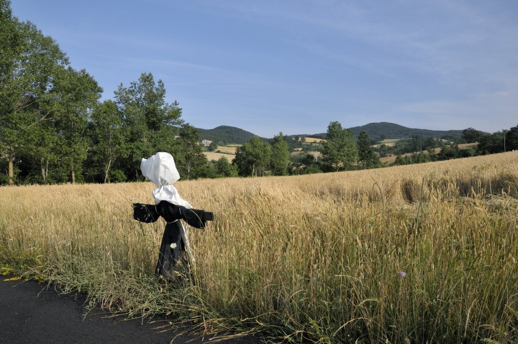 Spaventapasseri (scarecrow) by apas