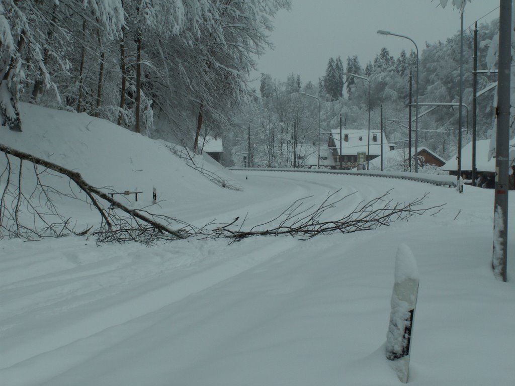 Vom Schnee blockierte Sihltalstrasse März 2005. (Snow closes Sihltalhighway March 2005) by beavercarl