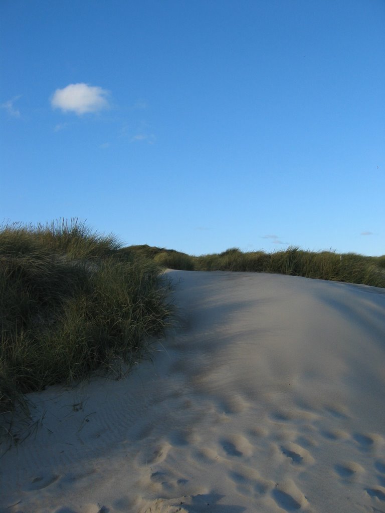 Beatiful view near the beach by Kjetil Engerdahl