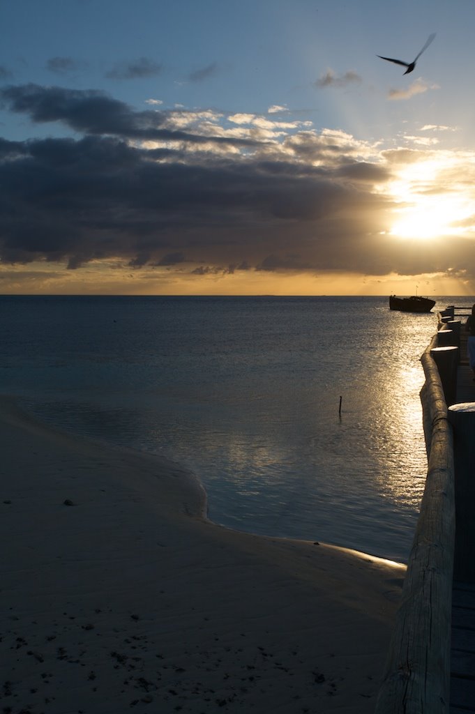 Heron Island Sunset by TimBarrett