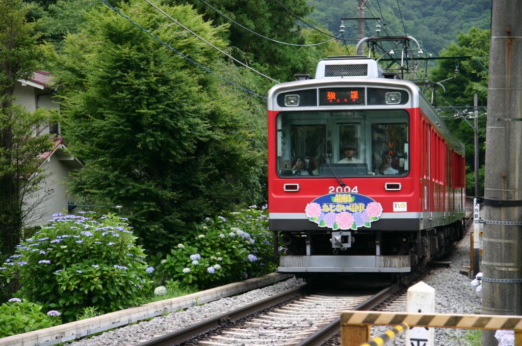 Ohiradai, Hakone, Ashigarashimo District, Kanagawa Prefecture 250-0405, Japan by misasagi1203