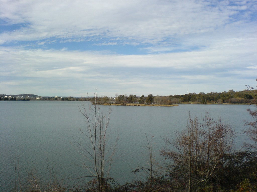 Island - Lake Burley Griffen by Mark Read