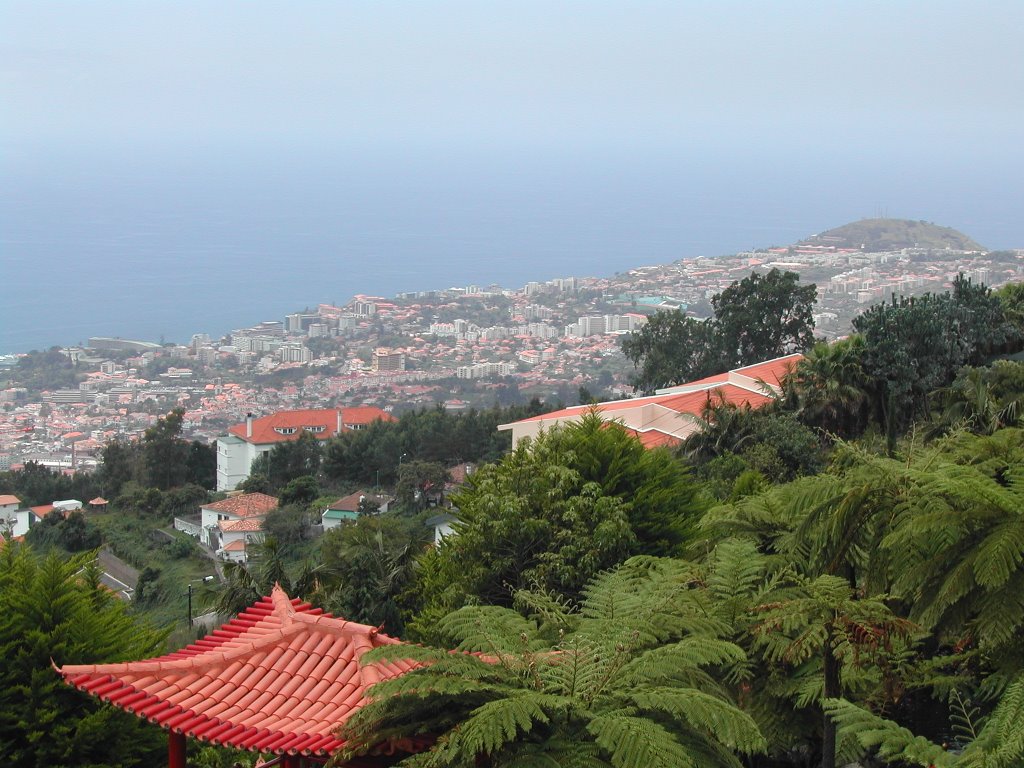 Funchal von oben Teil 2 by Movesman