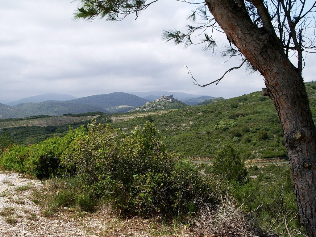 Près de Tuchan le Chateau d'Aguilar by Raby Jean-Luc