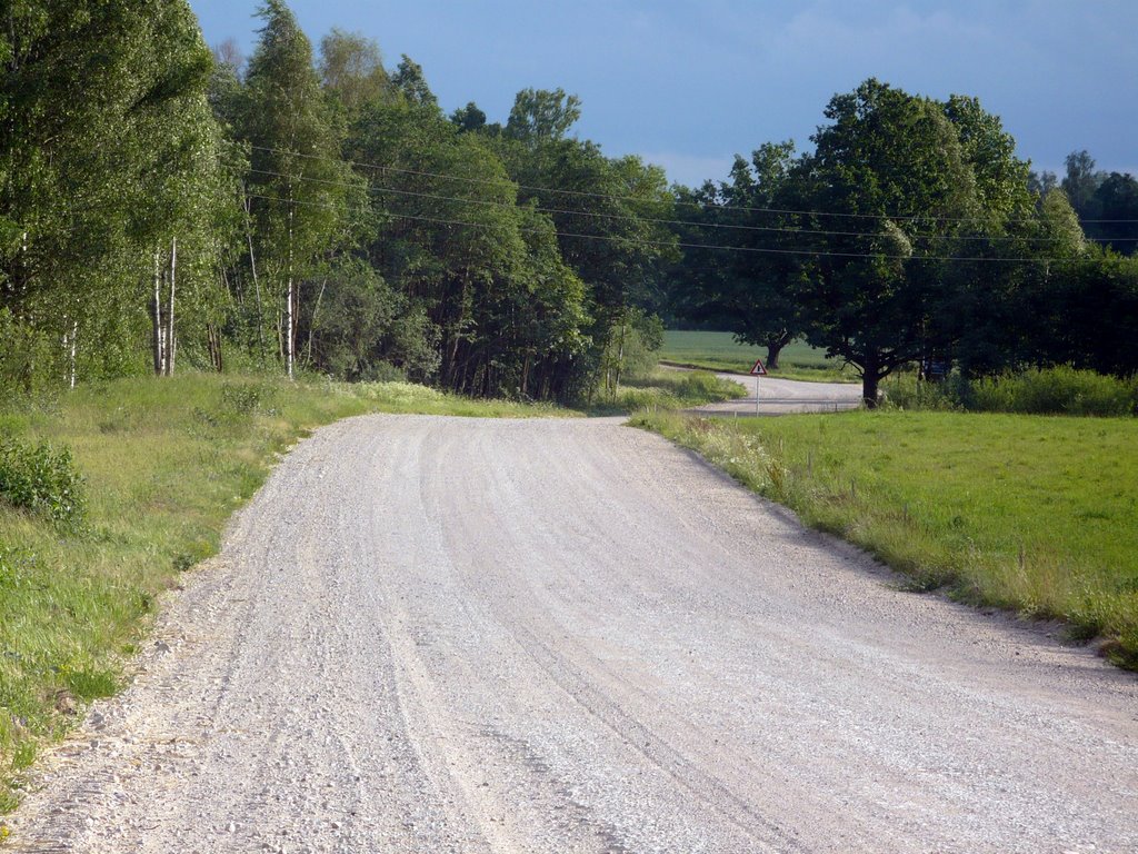 Zemgale's road in summer. June, 2008 by Ivars Indāns