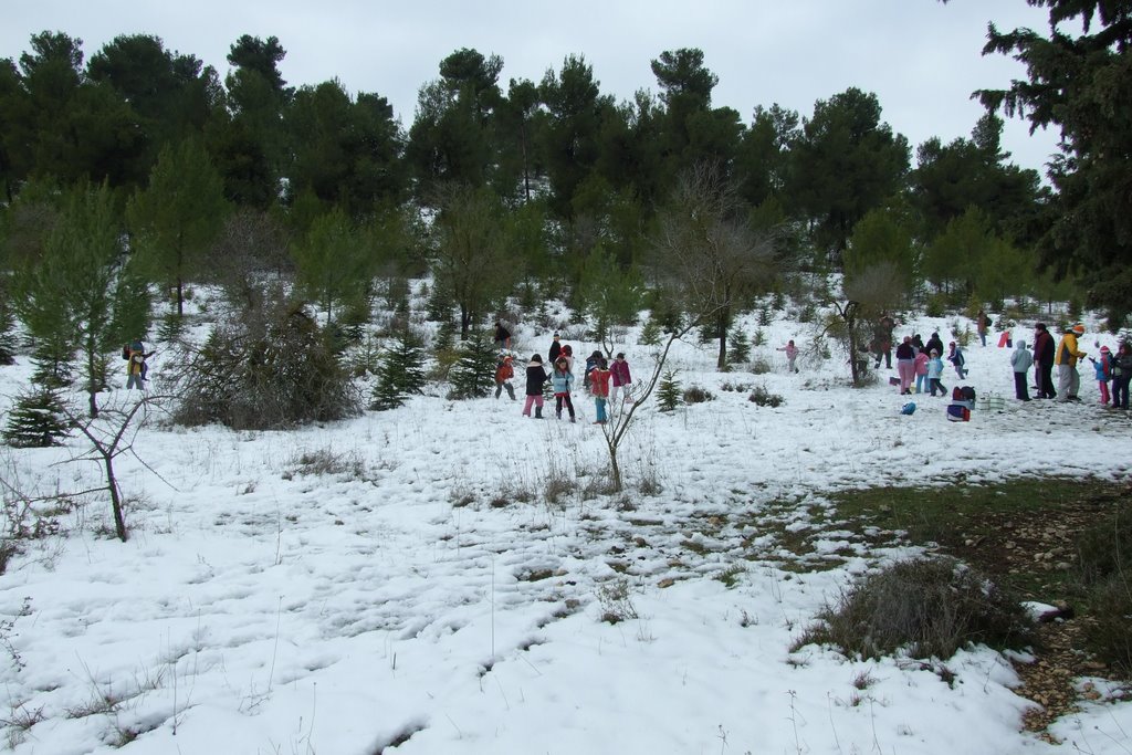 Biria forest in snow by mnashe