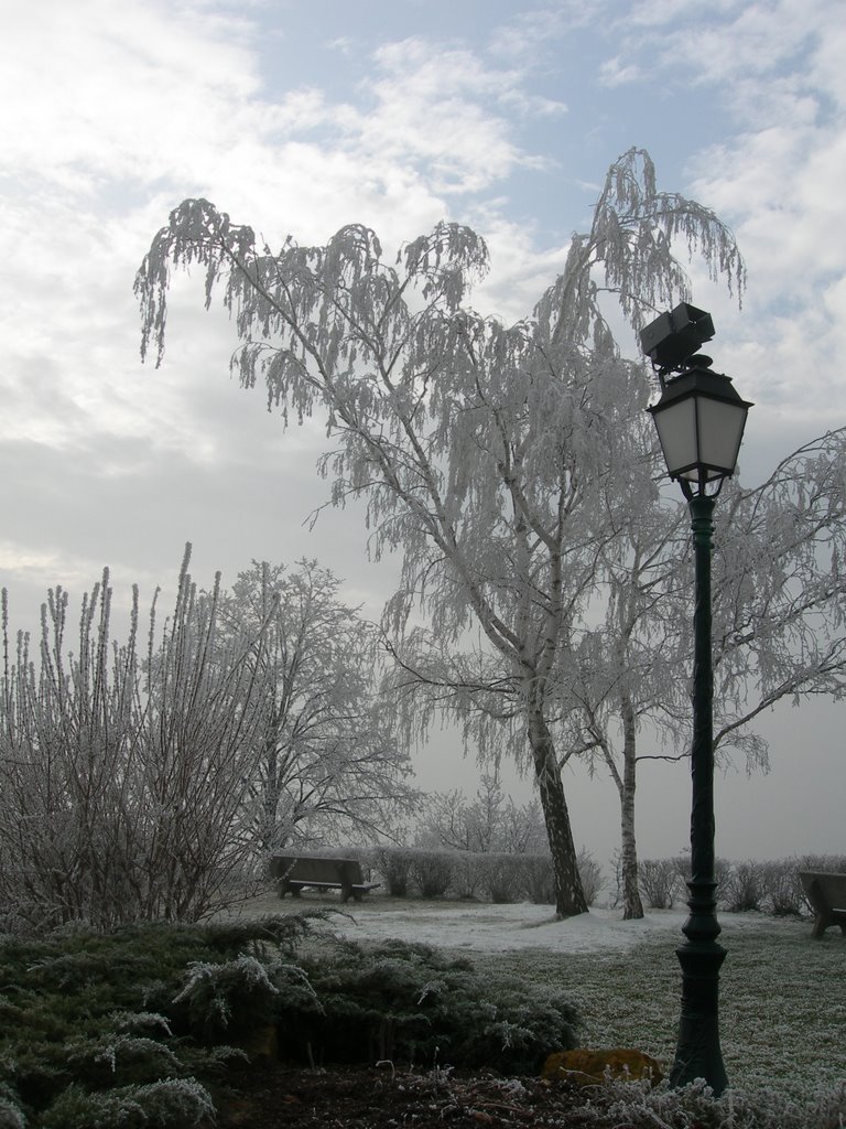 St Jean des Vignes by Alain CORNU