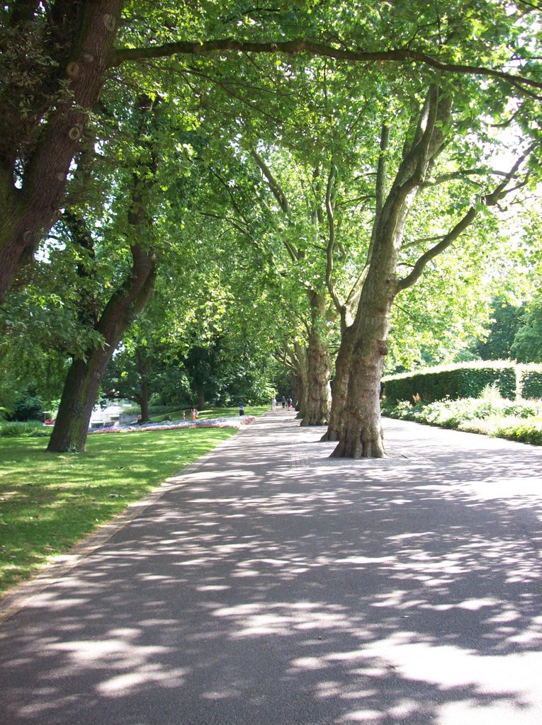 Karlsruhe - Stadtpark by dertivoli